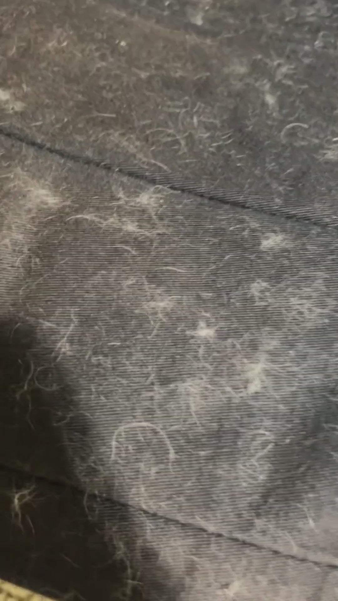 2-in-1 Huisdierhaar Verwijder Roller