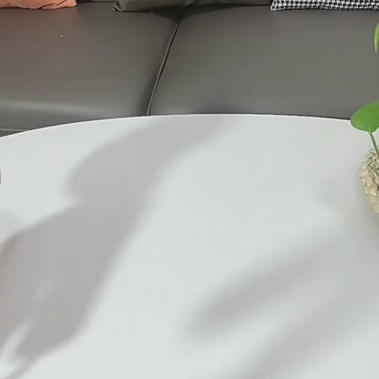 Tragbarer Dampfglätter Pro