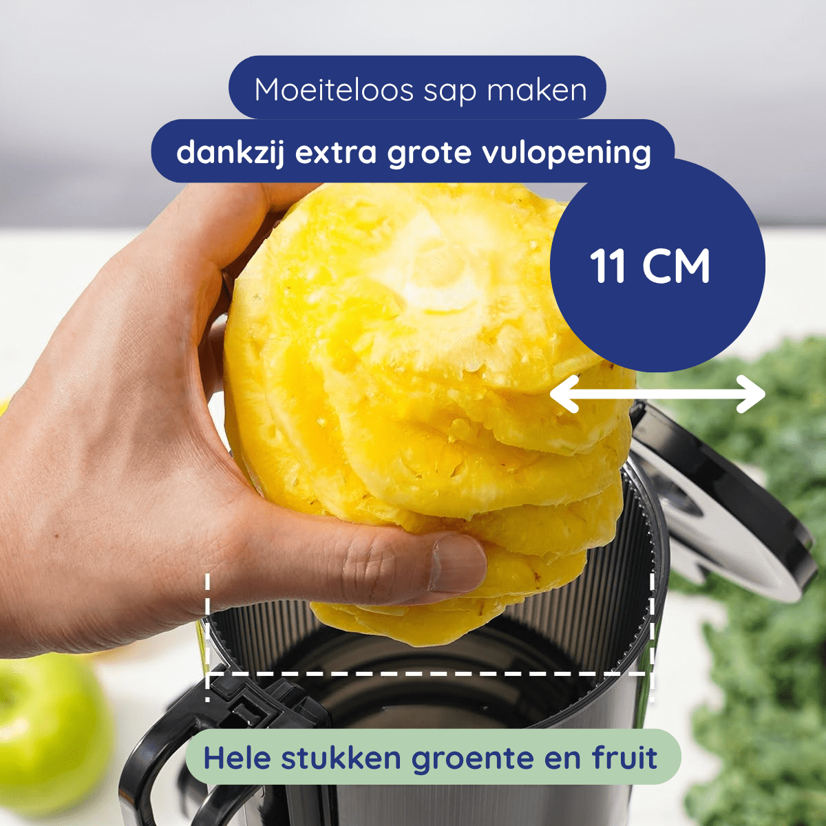 Slowjuicer ColdPress Pure Pro PRE ORDER - Safecourt Kitchen